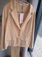 NIEUW met kaartjes pak Studio Anneloes Broek en blazer XXL, Kleding | Dames, Jasjes, Kostuums en Pakken, Kostuum of Pak, Studio Anneloes