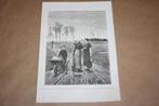 Antieke gravure - Roddelende vrouwen op het land - 1883 !!, Antiek en Kunst, Ophalen of Verzenden