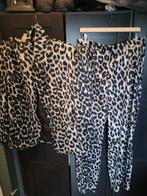 Shoeby Panter Pak - Broek XL, Blazer M/L, Shoeby, Ophalen of Verzenden