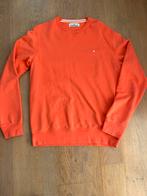 Stone Island sweater Stellina, Ophalen of Verzenden, Zo goed als nieuw, Groen