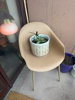 4 Kuipstoelen - Binnen/Buiten - Zo goed als nieuw!, Kunststof, Overige kleuren, Ophalen of Verzenden, Zo goed als nieuw