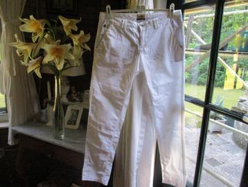 mj/GAASTRA/broek/chino/maat 29 valt als 42/NIEUWSTAAT beschikbaar voor biedingen
