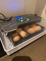 Broedmachine te huur – ideaal voor kuikens, eenden of kwarte, Ophalen of Verzenden, Zo goed als nieuw, Broedmachine