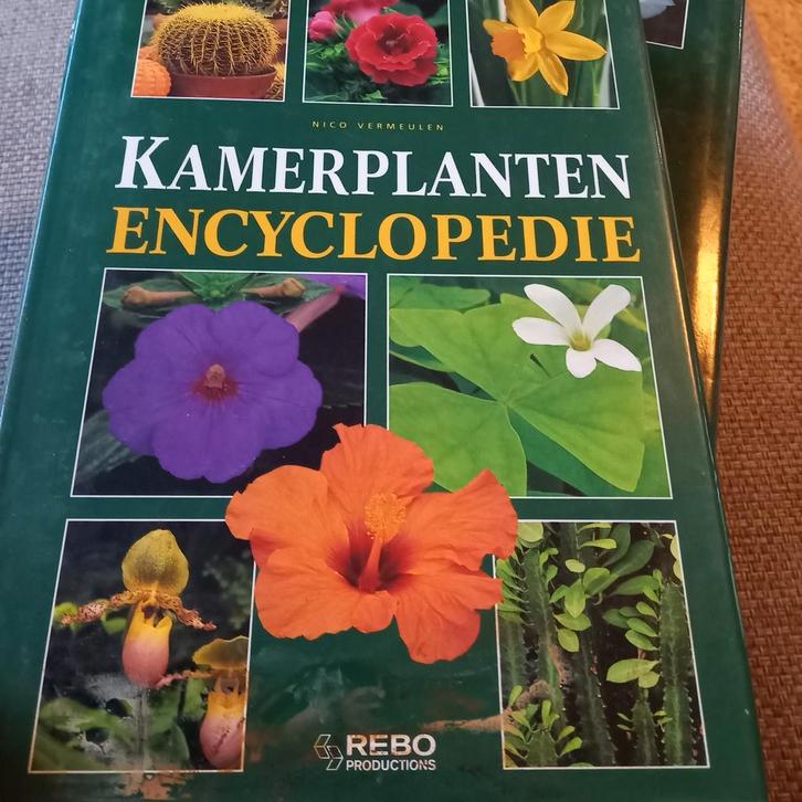 N. Vermeulen - Geillustreerde kamerplanten encyclopedie, Boeken, Natuur, Zo goed als nieuw, Vogels, Ophalen of Verzenden