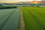 Agrarische grond/ Landbouwgrond gezocht in Noord-Brabant, Ophalen of Verzenden