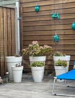 Elho planten potten, Tuin en Terras, Ophalen of Verzenden, Zo goed als nieuw, Wasrek