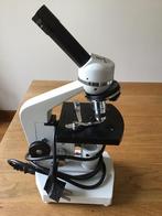 Microscoop, Gebruikt, 400x tot 1000x, Biologische microscoop, Ophalen