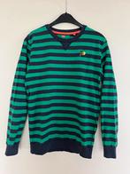 170/176 sweater groen blauw streep WE Fashion trui, Jongen, Trui of Vest, Gebruikt, Ophalen of Verzenden