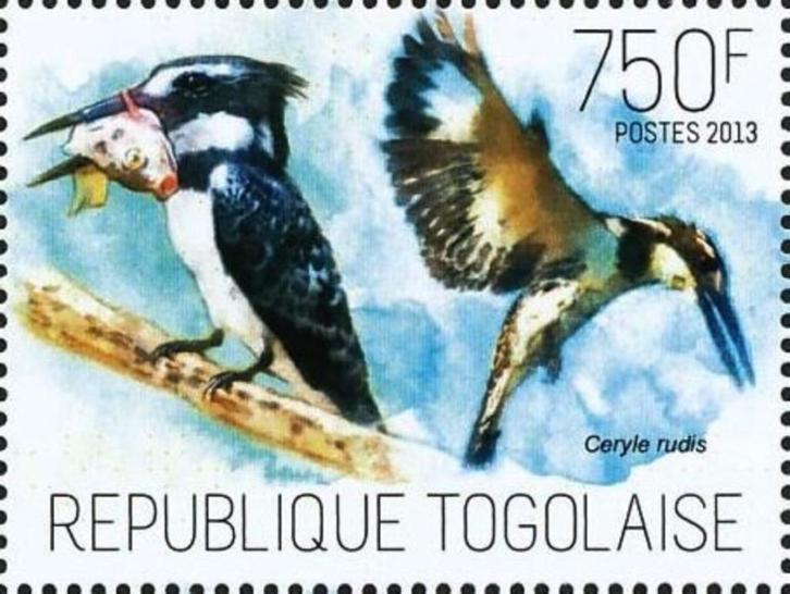2013 Togo Fauna Vogels IJsvogels, Postzegels en Munten, Postzegels | Thematische zegels, Postfris, Dier of Natuur, Ophalen of Verzenden