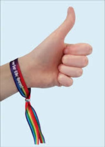 Regenboog armbandje (zijn wie je bent) beschikbaar voor biedingen