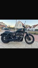 Harley- Davidson XL 833 N IRON Sportster 1200, Motoren, Motoren | Harley-Davidson, 2 cilinders, Sportuitlaat, Bedrijf, Overig