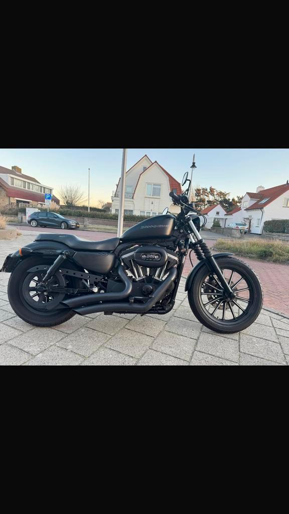 Harley- Davidson XL 833 N IRON Sportster 1200, Motoren, Motoren | Harley-Davidson, Bedrijf, Overig, 2 cilinders, Sportuitlaat