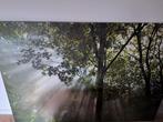 Canvas doek  poster boom ikea, Ophalen