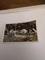 LUNTEREN. TENTENKAMP. SCHELEBERG, Ophalen of Verzenden, Voor 1920, Gelderland