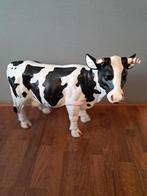 Mooi koe te koop, Ophalen, Nieuw, Dier