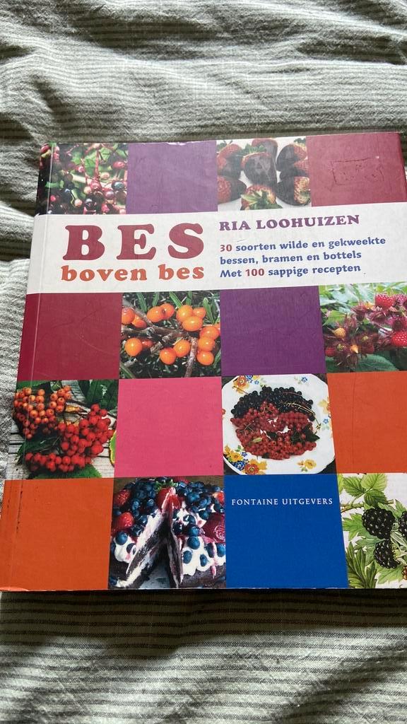 Ria Loohuizen - Bes boven bes, Boeken, Kookboeken, Zo goed als nieuw, Overige typen, Europa, Ophalen of Verzenden