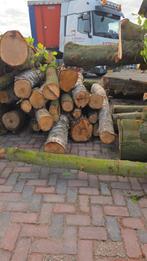 Per 2.5 kuub eiken berken beuken stamhout, Tuin en Terras, Haardhout, Ophalen