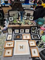 Vlinderlijsten - Algemene Nette Staat, Ophalen of Verzenden