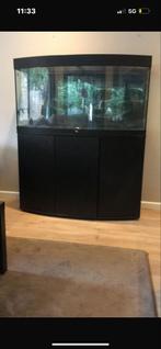 Aquarium te koop, Dieren en Toebehoren, Ophalen, Gebruikt, Leeg aquarium