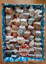 Edelstenen en mineralen. Collectie met fossielen, Postzegels en Munten, Ophalen of Verzenden, Nederland, Munten