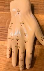 Acupunctuur Model Hand, Ophalen of Verzenden