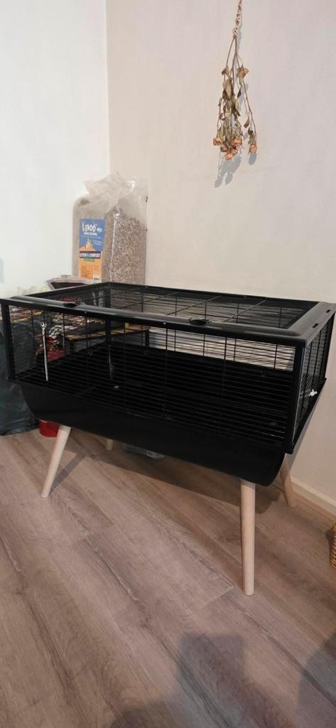 Gehele uitrusting voor knaagdieren, Dieren en Toebehoren, Knaagdieren en Konijnen | Hokken en Kooien, Gebruikt, Kooi, 60 tot 90 cm