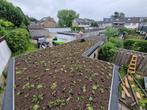 Aanleg en onderhoud van uw groendak, daktuin sedum 🍀🌸🌱