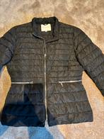 Jacky Luxury Zwart Donsjasje Maat M, Ophalen, Zo goed als nieuw, Maat 38/40 (M), Zwart