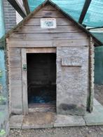 Nachthok, Dieren en Toebehoren, Ophalen, Cavia, 90 cm of meer, Hok