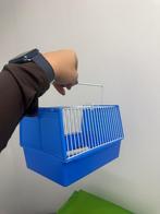 Vogel reiskooitje, Dieren en Toebehoren, Ophalen, Zo goed als nieuw