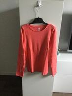 Nieuwe longsleeve maat 146-152, Verzenden, Nieuw, Meisje, Shirt of Longsleeve