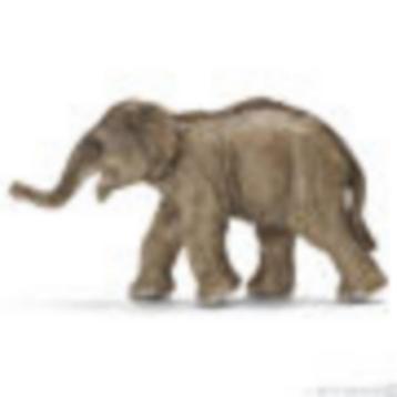 Schleich 14655 az olifant jong, dierfiguur beschikbaar voor biedingen