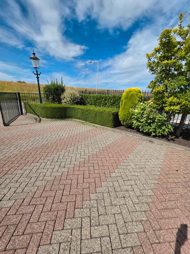 Tuinonderhoud – Snoeien, Onkruid Verwijderen en meer!!!, Diensten en Vakmensen, Tuinmannen en Stratenmakers