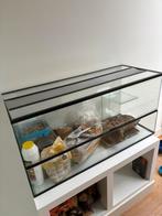 Ruime glazen kooi, Ophalen, Kooi, Gebruikt, Hamster