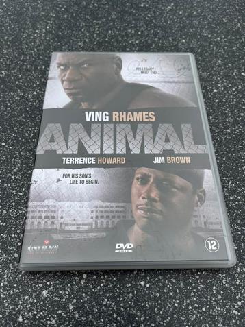 Animal - 2005 beschikbaar voor biedingen