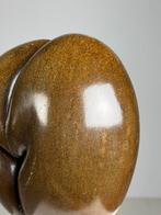 Gepolijste Coco de Mer op custom standaard, Ophalen, Fossiel