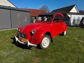 Citroën 2CV 0.6 1983 Rood beschikbaar voor biedingen