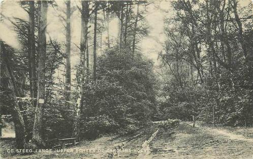 (377-401-007) De Steeg Lange Juffer achter de Carolina, Verzamelen, Ansichtkaarten | Nederland, Gelderland, Verzenden