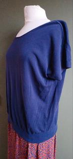 Truitje maat L, Paars, Maat 42/44 (L), Ophalen of Verzenden, Onbekend