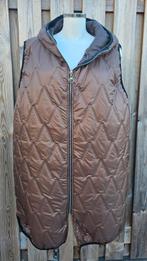 Bodywarmer bruin Sale❗️, Ophalen of Verzenden, Nieuw, Bruin, Jas of Mantel