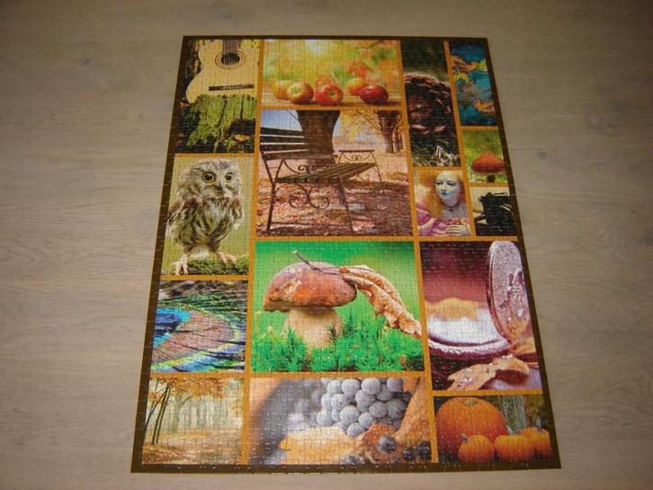 Puzzel HERFST 1000 st., Hobby en Vrije tijd, Denksport en Puzzels, Zo goed als nieuw, Legpuzzel, 500 t/m 1500 stukjes, Ophalen of Verzenden
