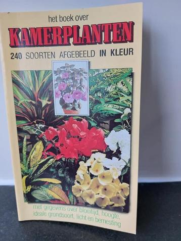 Het boek over Kamerplanten 240 soorten afgebeeld in kleur beschikbaar voor biedingen