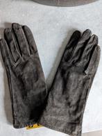 Handschoen. Nieuw. Maat M, Ophalen of Verzenden, Nieuw, Maat 38/40 (M), Sjaal