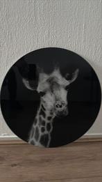 Giraf glasplaat  mieuw !, Ophalen of Verzenden, Nieuw