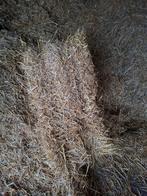 Goed gewonnen hooi en gerstestro balen, Ophalen of Verzenden, Vee