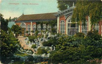 (300-114-043) Groningen Hortus Botanicus beschikbaar voor biedingen