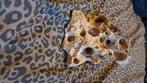 Aquarium decoratie e.d., Dieren en Toebehoren, Ophalen, Gebruikt, Plant(en), Steen of Hout