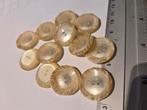 ⁰²) Vintage knopen. Schelp parelmoer look.  23mm, Ophalen of Verzenden, Nieuw, Knoop of Knopen