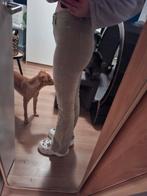 Costes Rebel flared broek - maat S/M, Ophalen of Verzenden, Maat 36 (S), Lang, Gedragen