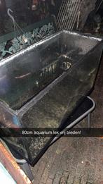 80cm aquaium, Ophalen, Gebruikt, Leeg aquarium